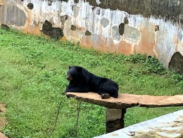 Sepahijala WildLife Santuary_5